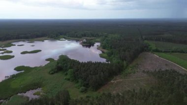 Yeşil Orman 'ın Havadan Görünümü