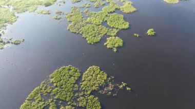 Mavi göl suyunda büyüyen yemyeşil kamışlardan oluşan küçük adaların havadan görünüşü