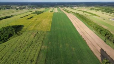 Geometrik Şekillere sahip renkli tarım arazileri