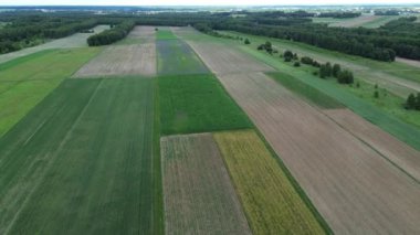 Tarım alanında çeşitli ekinler dönüşümlü olarak büyüyor