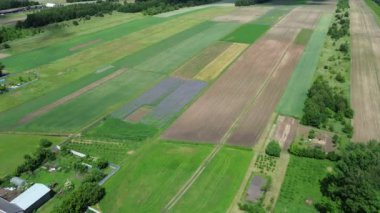 Kırsal bir arazide ürün rotasyonu ve çeşitliliği