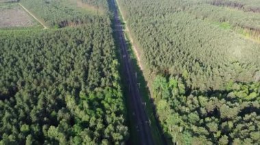 Demiryolu yolları yemyeşil bir ormanı ve sulak araziyi kesiyor.