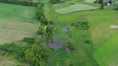 Ormandaki Bir Göletin Manzaralı Hava Görüntüsü