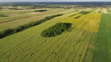 Gün batımında Yaz Tarlalarının Hava Çekimi
