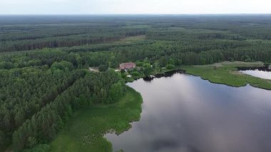 Orman göle kavuşuyor, gökyüzü yansımalı hava manzaralı.