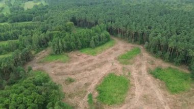 Ormanların yok oluşu ve orman kontrastının havadan görünüşü