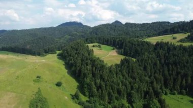 Dağlık bölgedeki orman parkının sabah hava güneşli manzarası