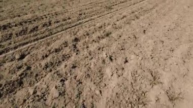 Pürüzsüz bir tarlanın ve etrafındaki orman alanının insansız hava aracı görüntüsü.
