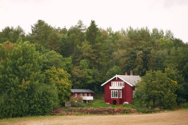 Norveç kırmızı kulübesi Sonbahar ağaçları ve suları