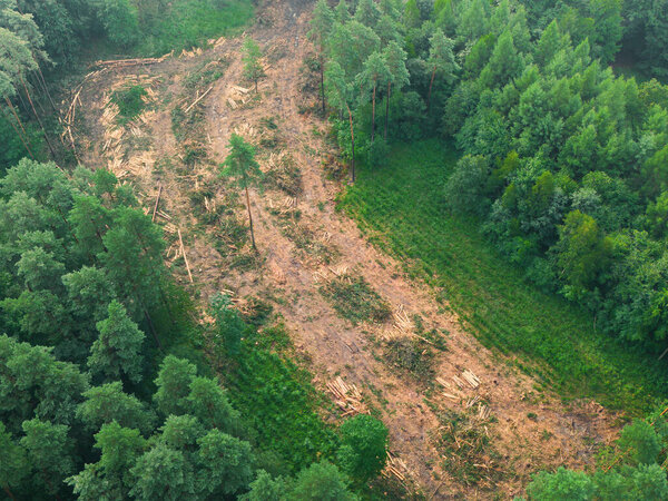 Зеленый лес встречается с бесплодной землей в драматическом воздушном виде обезлесения