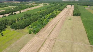 Yeşil ağaçlı manzaralı tarım arazisi
