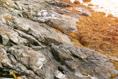 Sakin deniz ve kayalık sahilli sakin kıyı manzarası