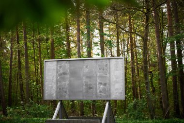 Reklam ve promosyon için sakin ormanda boş ilan panosu