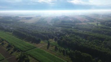 Tarlaların ortasındaki bir kırsal alanın tarımsal alanının insansız hava aracı görüntüsü