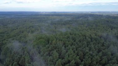 Yoğun ormanın sisli ve bulutlu gökyüzü manzarası