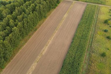 Yeşil ormanlarla çevrili hasat edilmiş arazinin havadan görünüşü