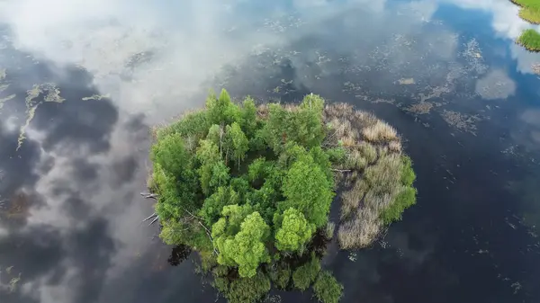 stock image Aerial view of lake with tree island reflecting sky