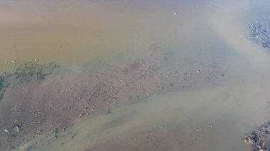 Huzur Gölü 'nde Yaz Kuşları İzleme