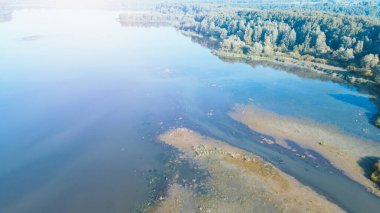 Serene Gölü 'nde balıkçıllar ve balıkçıllar