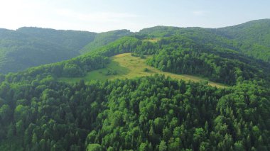 Dağlardaki orman parkının havadan görünüşü, sabah güneşiyle yıkanmış.