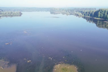 Sakin Toprakların Tadını Çıkaran Kuşlar