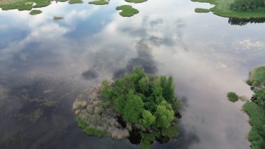 Scenic lake with lush green island and sky reflection clipart