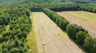 Yukardan toplanan saman balyaları