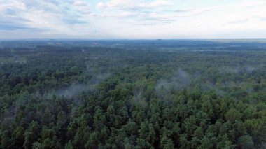 Sisli ormanlık tepe örtüsünün sakin manzarası
