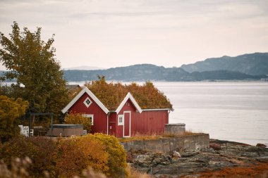 Norveç 'te sonbahar ağaçlarının yanındaki manzara kırmızı evi