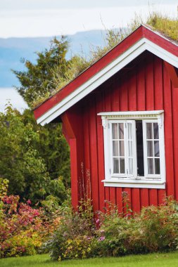 Norveç 'te bir sonbahar ormanı yakınlarındaki Idyllic kırmızı kulübesi. Manzaralı fiyortlarda Norveç kırmızı evi