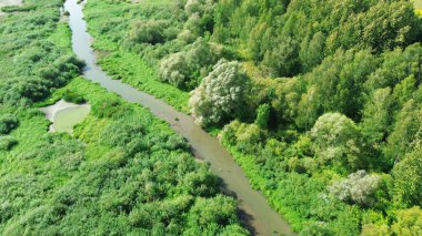 Güneşli bir günde yemyeşil ormanda akan nehir yukarıdan doğal güzellik ve sükuneti yakalıyor.