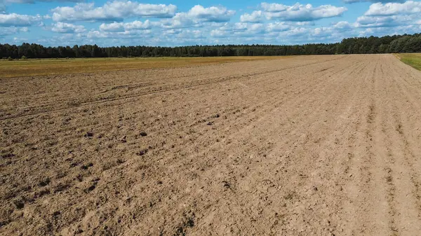 stock image Agricultural field with visible plow lines bordered by green forest