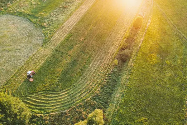 stock image Field mowing with tractor aerial view