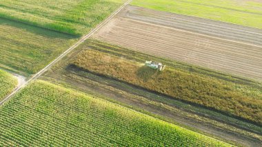 Geniş tarım arazilerinde çalışan hasatçıları birleştirin