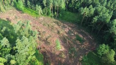 Ormanın ve ormansızlığın havadan görünüşü çevresel etkiyi gösteriyor.