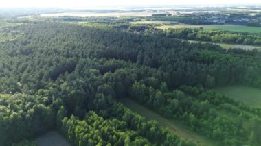 Doğal Ağaç Büyüyen Yabanıl Topraklar