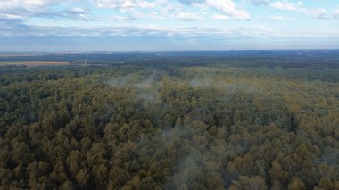 Hava aracı şafakta orman sisini yakalıyor.