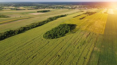 Altın Saat Işığında Geometrik Ekin Örnekleri