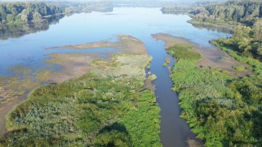 Yeşil ormanda akan nehir yukarıdan
