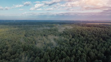 Uçsuz bucaksız ormanın üzerinde süzülen sisli hava manzarası