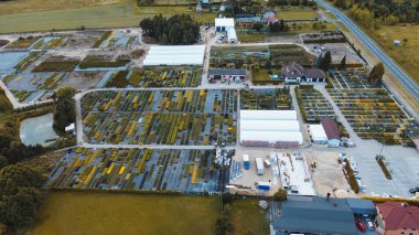 Canlı fidanlık bitkilerinin yukarıdan çekimleri