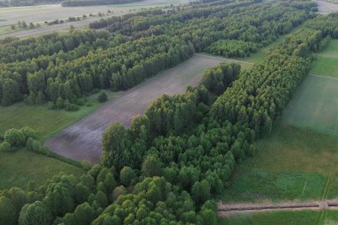 Tarlaların ve ormanların üzerinde akşam güneşi