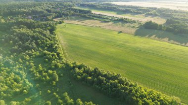 Canlı yaz ormanı ve tarlaları
