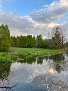 Sopalarla inşa edilmiş ve yeşilliklerle çevrili kunduz barajı.