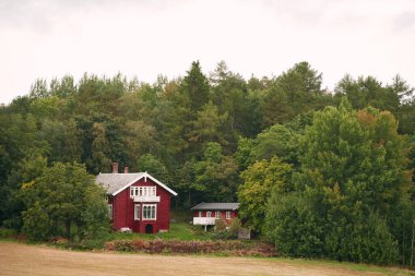 Norveç fiyortlarının yanındaki sonbahar ormanında kırmızı kulübe