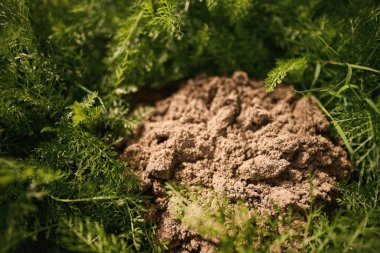 Yeşil bahçede taze toprak yığını