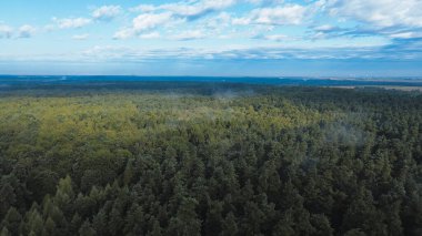 Sisli ormanlık tepe örtüsünün sakin manzarası