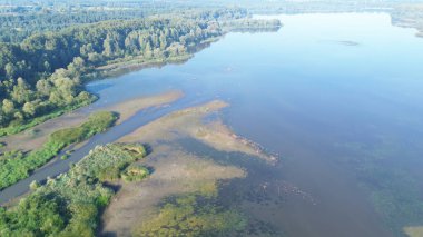 Sakin Toprakların Tadını Çıkaran Kuşlar