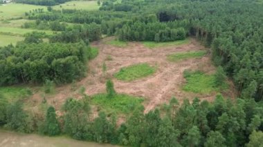 Hava perspektifinden görülebilen orman tahrip etkisi