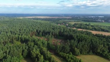 Yığılmış ağaç kütükleriyle ağaçların yok oluşunun havadan görünüşü